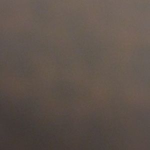 Meet your Posher, Leilani